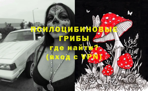 МДПВ Надым