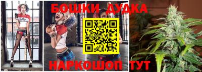 гидропоника Сланцы