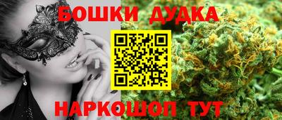 гидропоника Сланцы