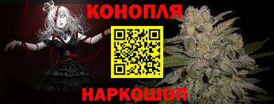 гидропоника Сланцы
