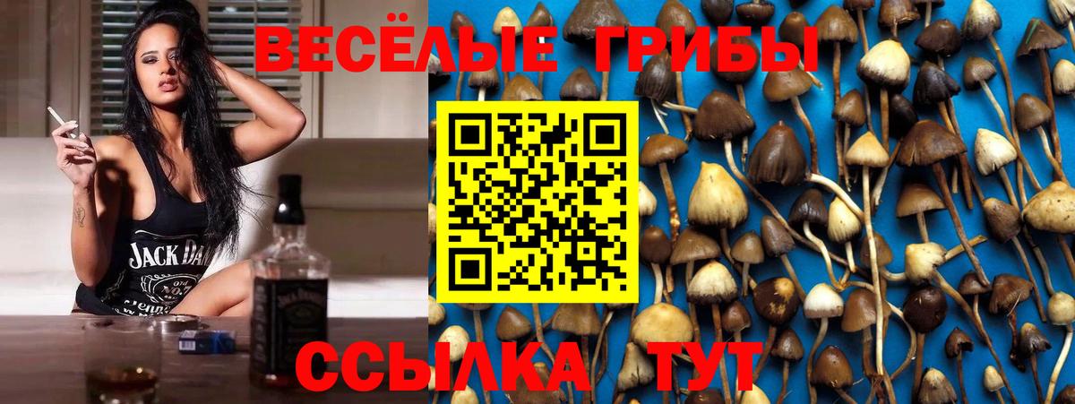 Галлюциногенные грибы Cubensis Сунжа