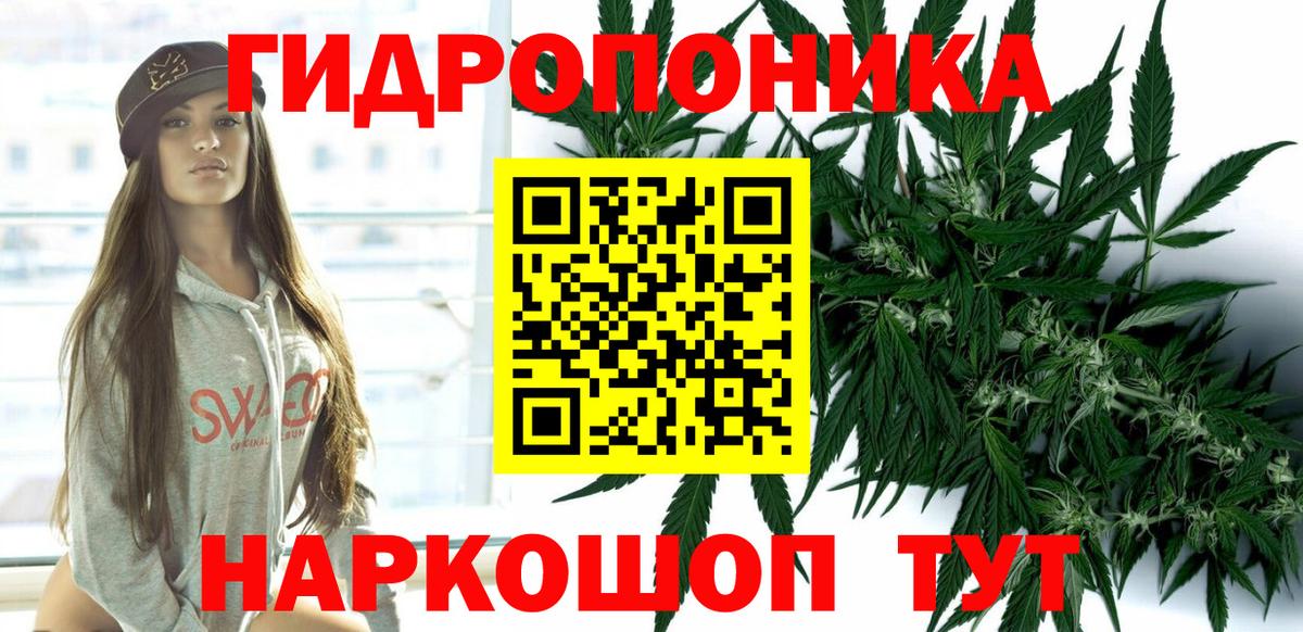 Сунжа  Марихуана White Widow  Шишки марихуана Bruce Banner  Марихуана White Widow  Вход с VPN  Конопля сатива 